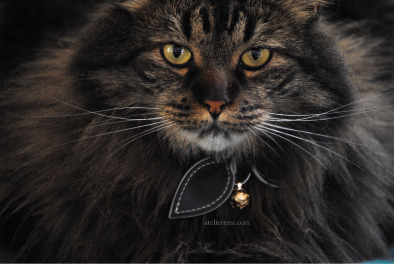 No. P01C | Dapper Cat Collar (Cowhide Lined Interior)